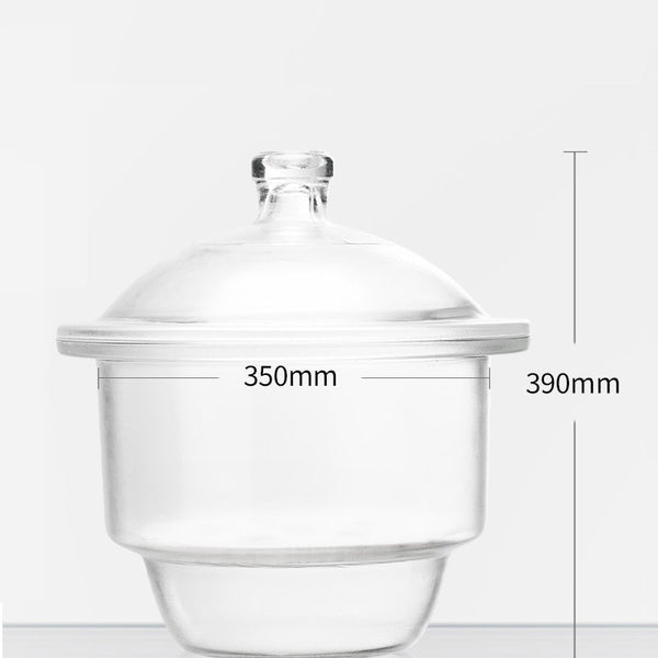 Desiccator, clear glass Laborxing