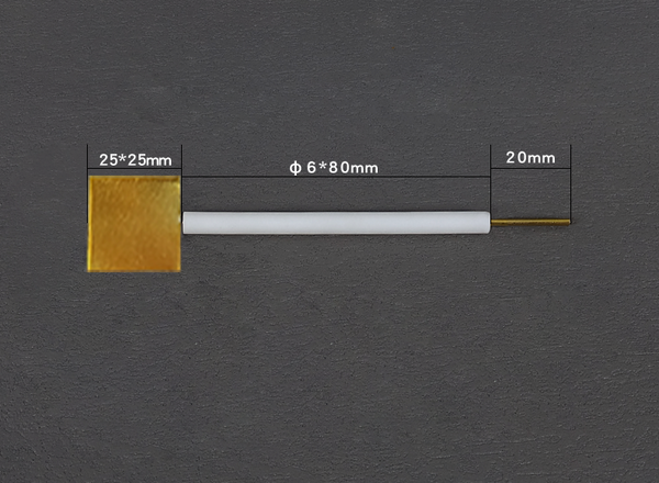 Gold plate electrodes with PTFE rod Laborxing