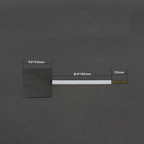 Graphitplatten-Arbeitselektroden mit PTFE-Stab Laborxing