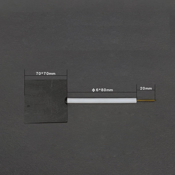 Graphitplatten-Arbeitselektroden mit PTFE-Stab Laborxing