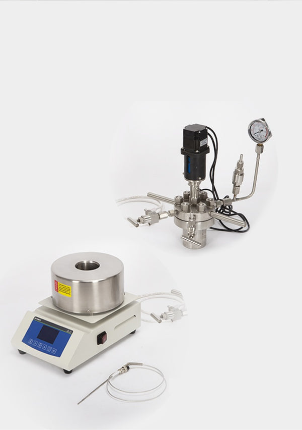Reactor de alta presión con agitador eléctrico, capacidad de 50 a 500 ml Laborxing