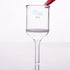 Filtro Nutsche con frita, 50 ml a 250 ml Laborxing
