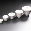 Crucible-with-cover-porcelain-capacity-5-to-300-ml Laborxing