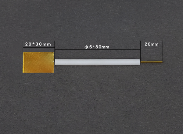 Gold plate electrodes with PTFE rod Laborxing