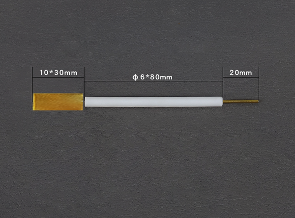 Gold plate electrodes with PTFE rod Laborxing