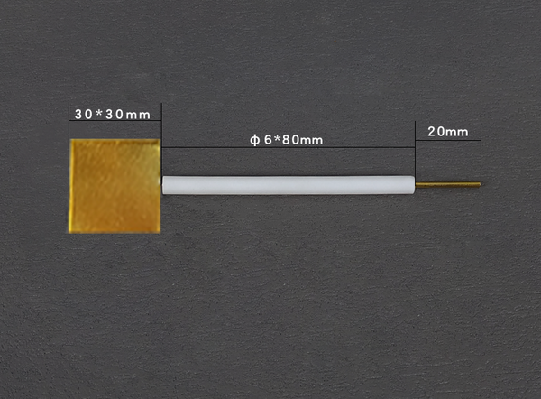 Gold plate electrodes with PTFE rod Laborxing