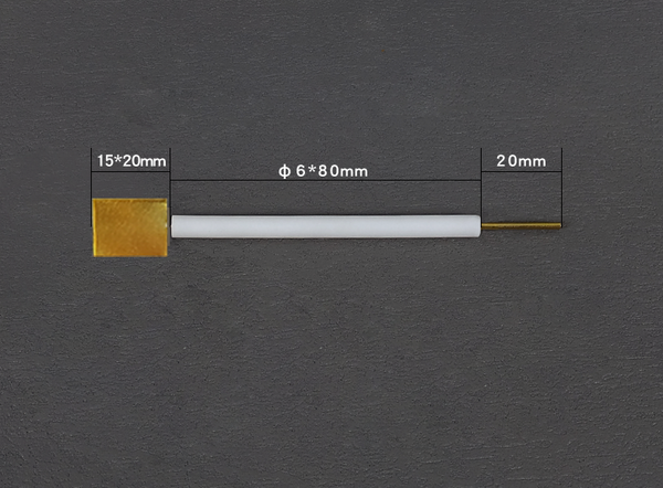 Gold plate electrodes with PTFE rod Laborxing