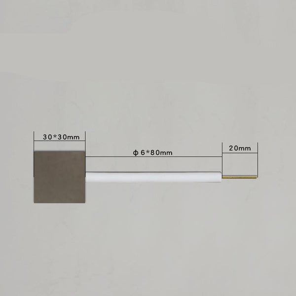 Électrodes à plaque de platine avec tige en PTFE Laborxing