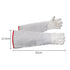 products/O1CN01TOGqHs1IENdTfswBr__109500861.jpg