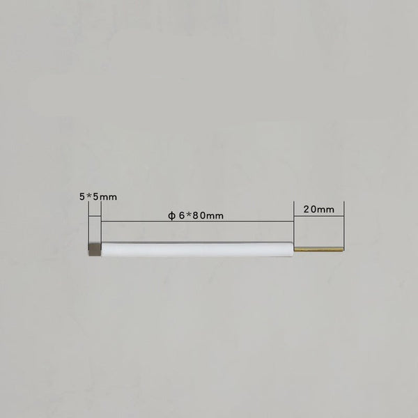 Électrodes à plaque de platine avec tige en PTFE Laborxing