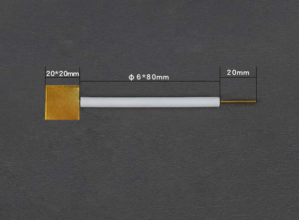 Gold plate electrodes with PTFE rod Laborxing