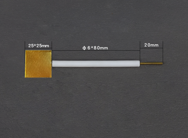 Vergoldete Elektroden mit PTFE-Stab Laborxing