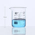 products/Short-beaker_-5-ml-to-10.000-ml-Laborxing-1662650162.jpg